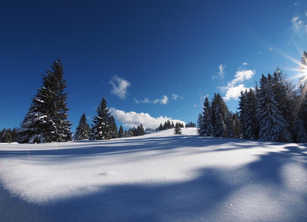 Alpenapartments Unterschlag Annaberg im Lammertal Exterior foto