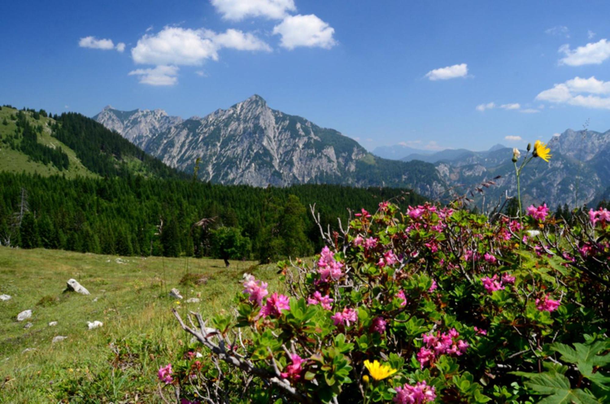 Alpenapartments Unterschlag Annaberg im Lammertal Exterior foto